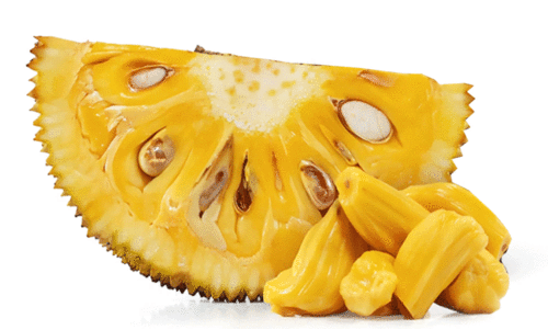 ച​ക്ക ഇ​വി​ടെ സൂ​പ്പ​ർ​സ്റ്റാർ