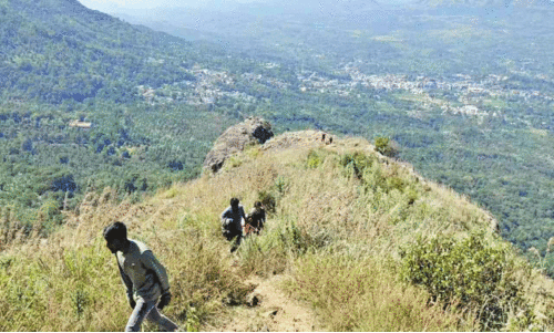 വിലക്ക് വകവെക്കാതെ സഞ്ചാരികൾ