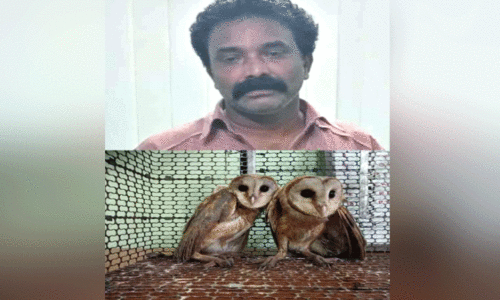 ന​വാ​സ്