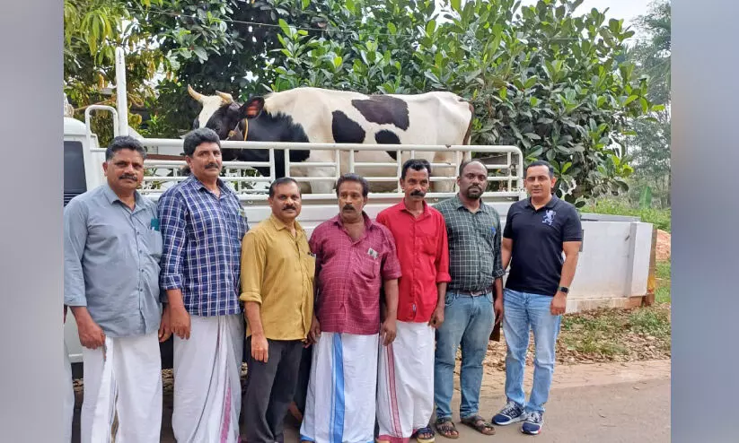 ക​ടു​വ​യു​ടെ ആ​ക്ര​മ​ണ​ത്തി​ൽ പ​ശു കൊ​ല്ല​പ്പെ​ട്ട ക്ഷീ​ര​ക​ർ​ഷ​ക​ന് ഫ്ര​ണ്ട്‌​സ് ഓ​ഫ് കെ.​ഡി.​ഡി സ​ഹാ​യം