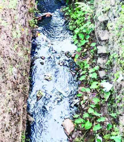 മാലിന്യ പ്രശ്നത്തിന് പരിഹാരമില്ല; സമരത്തിന് ഒരുങ്ങി പേട്ട നിവാസികൾ