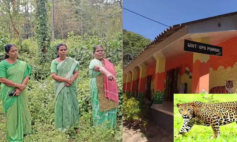 പുലിപ്പേടിയിൽ പിഞ്ചുകുട്ടികൾ: മനുഷ്യാവകാശ കമീഷൻ ഇടപെട്ടു