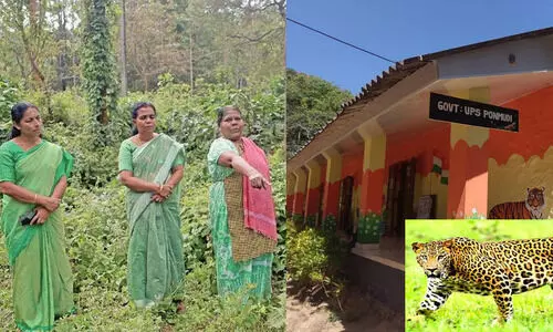 പുലിപ്പേടിയിൽ പിഞ്ചുകുട്ടികൾ: മനുഷ്യാവകാശ കമീഷൻ ഇടപെട്ടു