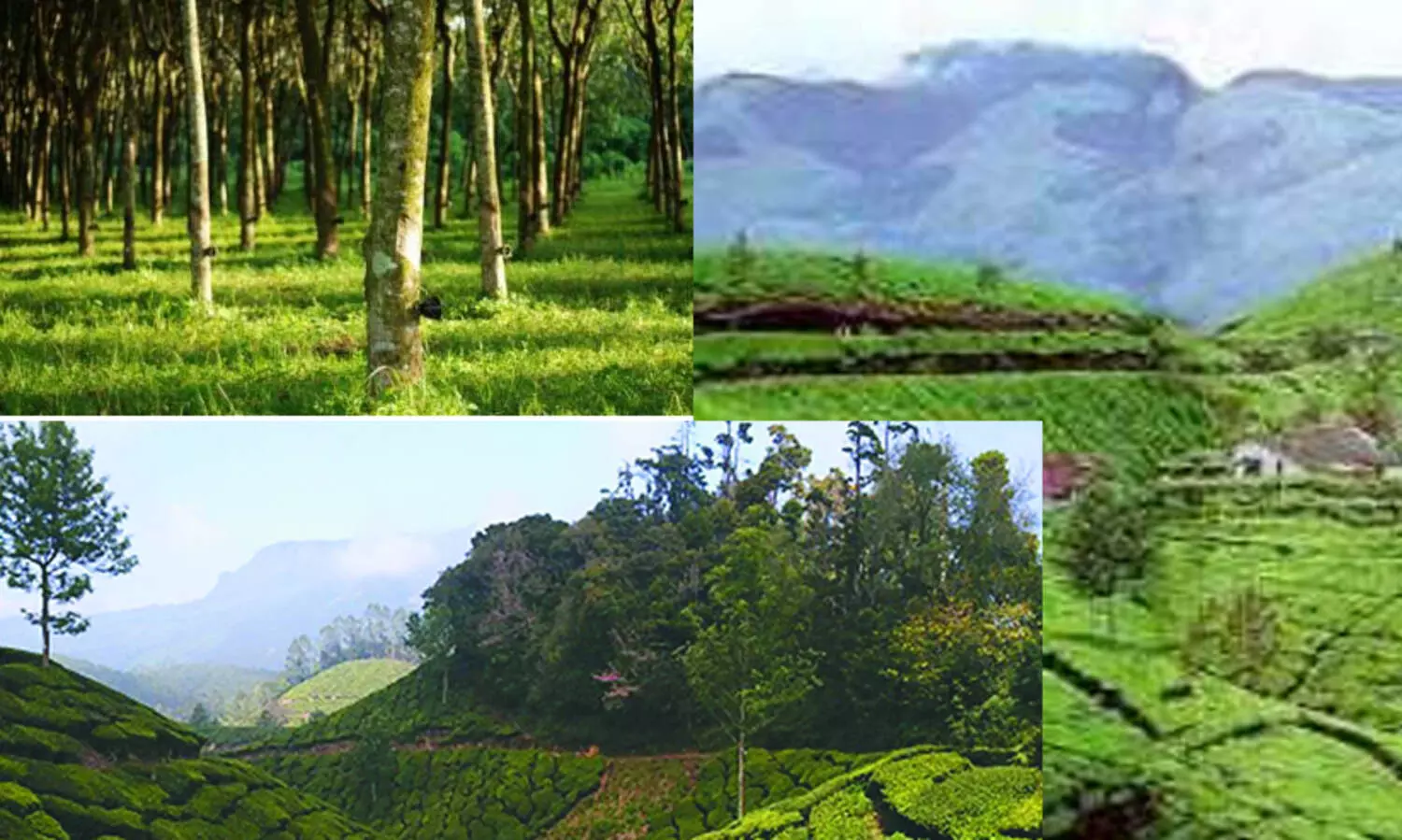 പാട്ട നിരക്കുകൾ പരിഷ്കരിക്കുന്നതിന് സമിതി