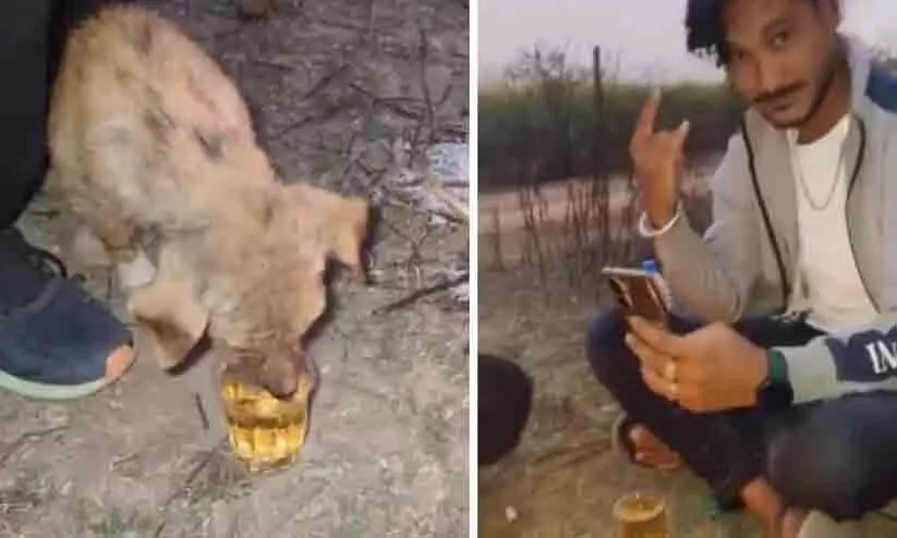 നായ്ക്കുട്ടിയെ മദ്യം കുടിപ്പിച്ച് വിഡിയോ പ്രചരിപ്പിച്ചു; യുവാക്കൾക്കെതിരെ കേസ്