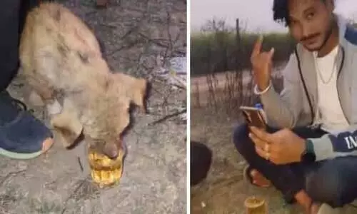 നായ്ക്കുട്ടിയെ മദ്യം കുടിപ്പിച്ച് വിഡിയോ പ്രചരിപ്പിച്ചു; യുവാക്കൾക്കെതിരെ കേസ്