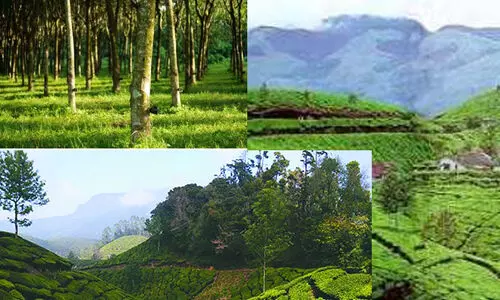 പാട്ട നിരക്കുകൾ പരിഷ്കരിക്കുന്നതിന് സമിതി