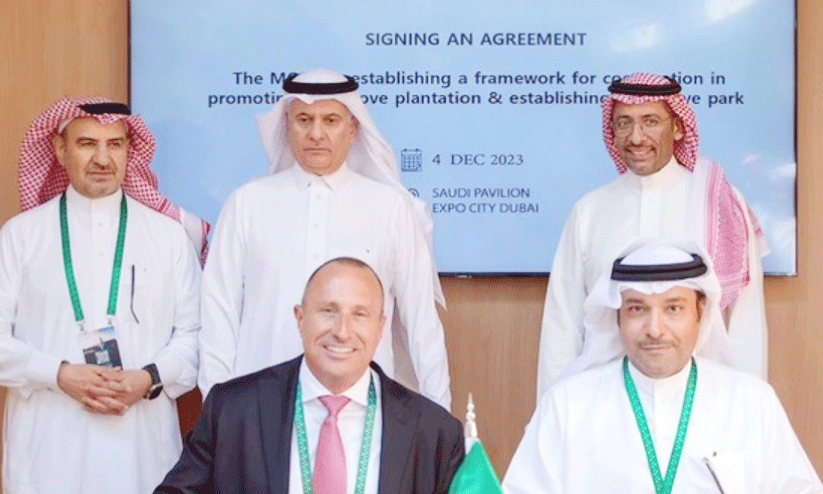 സൗദി ഹരിതവത്കരണം; ജുബൈലിൽ കണ്ടൽപാർക്ക് സ്ഥാപിക്കും സൗദി ഹരിതവത്കരണം; ജുബൈലിൽ കണ്ടൽപാർക്ക് സ്ഥാപിക്കും