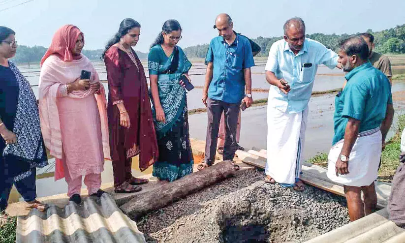 മാറഞ്ചേരി തുറുവാണം ബണ്ട് റോഡിൽ വൻ ഗർത്തം; ഉടൻ പരിഹാരം മാറഞ്ചേരി തുറുവാണം ബണ്ട് റോഡിൽ വൻ ഗർത്തം; ഉടൻ പരിഹാരം
