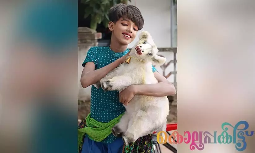 Kerala School Kalolsavam 2024