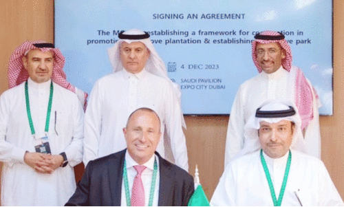 സൗ​ദി ഹ​രി​ത​വ​ത്​​ക​ര​ണം; ജു​ബൈ​ലി​ൽ ക​ണ്ട​ൽ​പാ​ർ​ക്ക് സ്ഥാ​പി​ക്കും