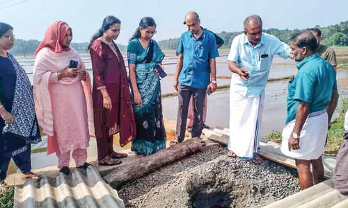 മാറഞ്ചേരി തുറുവാണം ബണ്ട് റോഡിൽ വൻ ഗർത്തം; ഉടൻ പരിഹാരം