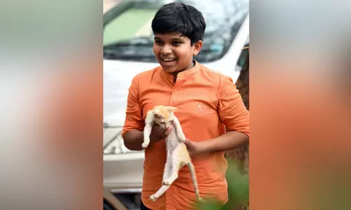 അവന്​ അമ്മയില്ലമ്മേ, കൂടെ കൊണ്ടുപോകാം