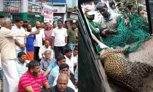 leopard, Tamil Nadu forest department,