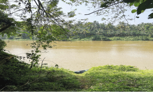 കാലടിക്കുന്ന് റെഗുലേറ്റര് നിര്മാണത്തിന് തുടക്കം കാലടിക്കുന്ന് റെഗുലേറ്റര് നിര്മാണത്തിന് തുടക്കം