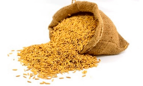 നെ​ല്ലു സം​ഭ​ര​ണം; സ​പ്ലൈ​കോ​യി​ൽ പ്ര​തീ​ക്ഷ വി​ടാ​തെ...