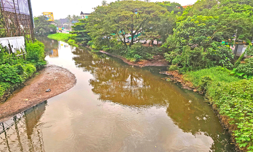 മ​ലി​ന​മാ​യ ക​നോ​ലി ക​നാ​ൽ