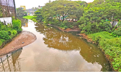 മ​ലി​ന​മാ​യ ക​നോ​ലി ക​നാ​ൽ