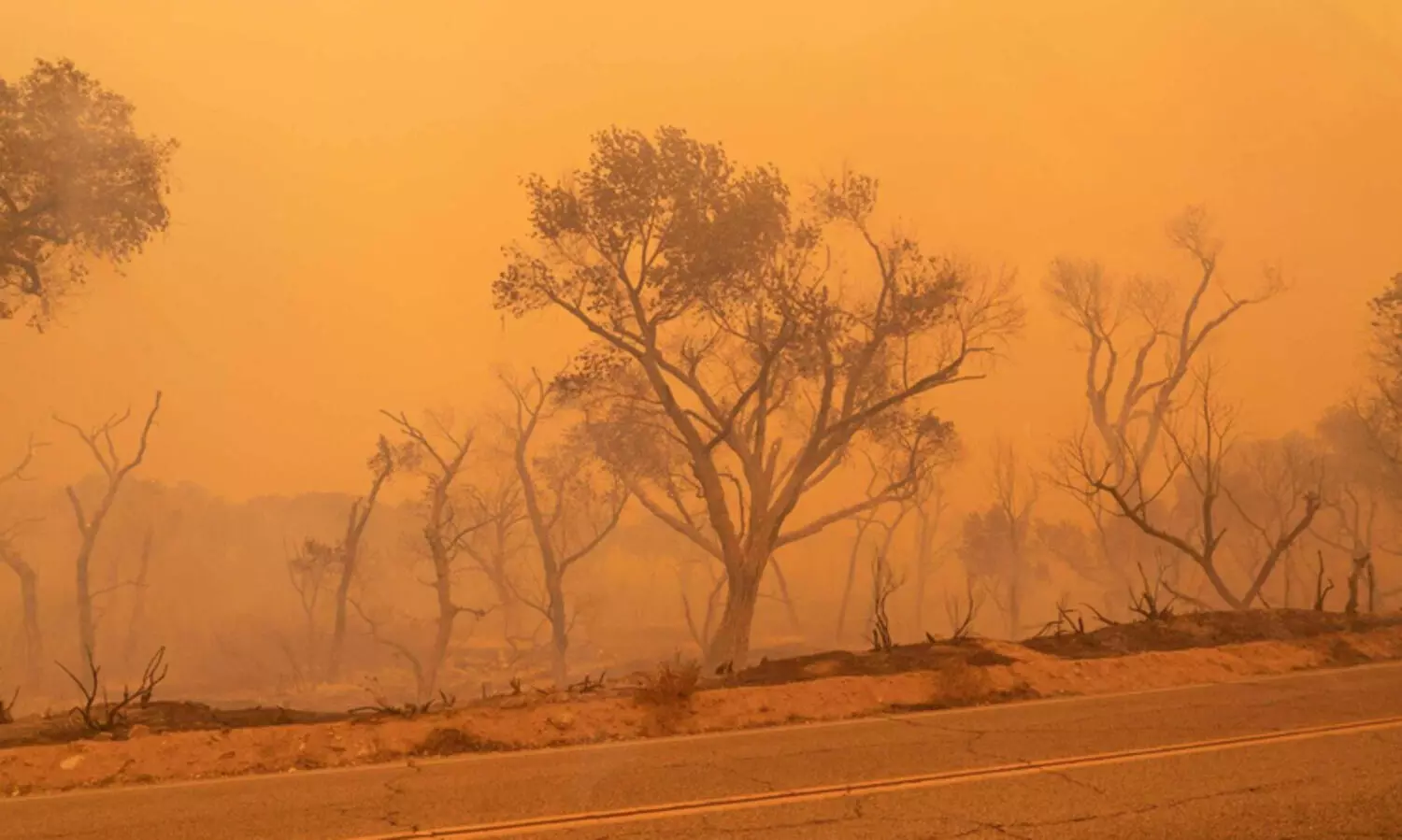 2023 ഏറ്റവും ചൂടേറിയ വർഷം
