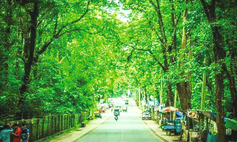 കനോലി പ്ലോട്ടിലെ രുചിവിരുന്നിന് ക്ലീൻ സ്ട്രീറ്റ് ഫുഡ് ഹബ് അംഗീകാരം കനോലി പ്ലോട്ടിലെ രുചിവിരുന്നിന് ക്ലീൻ സ്ട്രീറ്റ് ഫുഡ് ഹബ് അംഗീകാരം