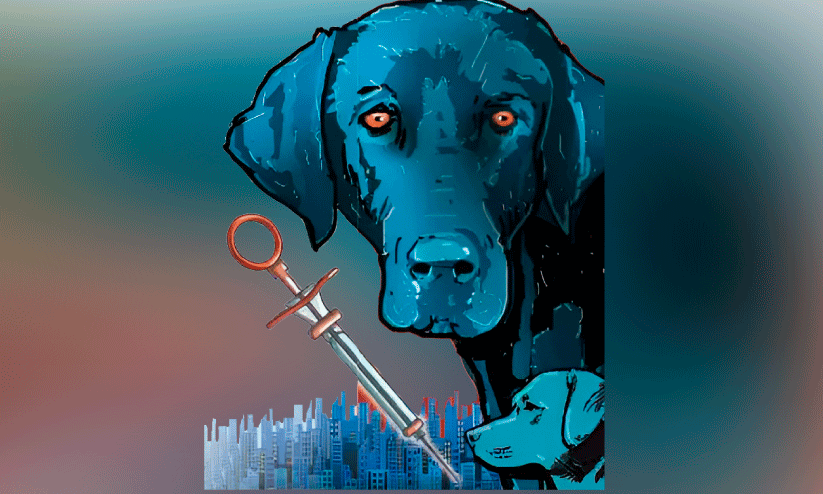 വീണ്ടും വിളയാട്ടം; കടിച്ചുകീറാൻ  തെരുവ്​നായ്ക്കൾ