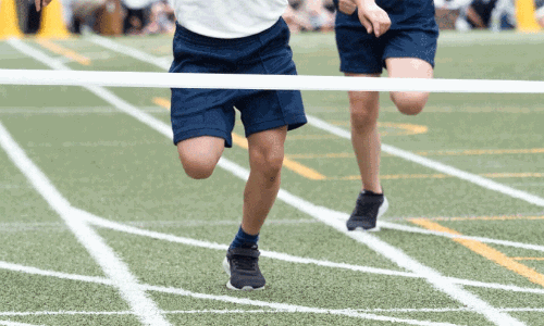 sports school selection