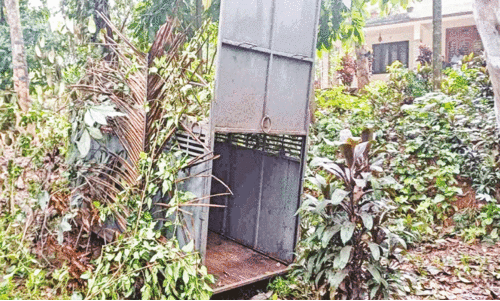 ക​ര​ടി​: ക​ൽ​ച്ചി​റ​യി​ൽ  കൂ​ട് സ്ഥാ​പി​ച്ചു