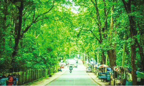 കനോലി പ്ലോട്ടിലെ രുചിവിരുന്നിന് ക്ലീൻ സ്ട്രീറ്റ് ഫുഡ് ഹബ് അംഗീകാരം കനോലി പ്ലോട്ടിലെ രുചിവിരുന്നിന് ക്ലീൻ സ്ട്രീറ്റ് ഫുഡ് ഹബ് അംഗീകാരം