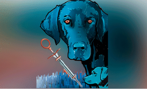 വീണ്ടും വിളയാട്ടം; കടിച്ചുകീറാൻ  തെരുവ്​നായ്ക്കൾ