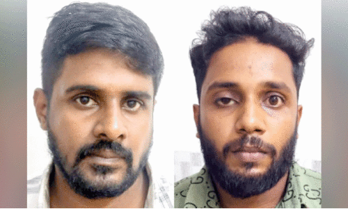 പശുവിനെ മോഷ്ടിച്ച് കശാപ്പ് ചെയ്തു: രണ്ടുപേർ അറസ്റ്റിൽ
