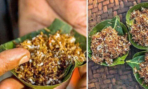 red ant chutney 8979