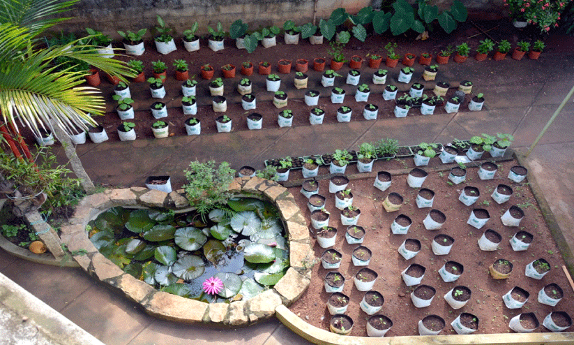 നാളേക്കാവശ്യം നഗരകൃഷി നാളേക്കാവശ്യം നഗരകൃഷി