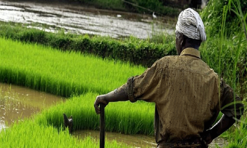 കർഷകർക്ക് കണ്ണീർമഴ