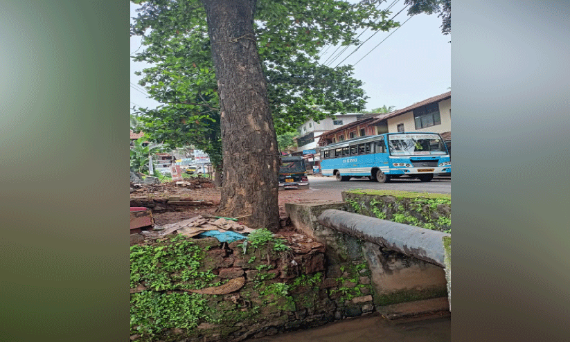 കാരക്കുന്നത്ത് റോഡരികിലെ മരം അപകട ഭീഷണി