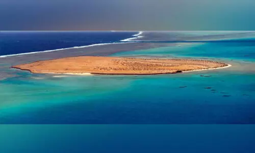 ചെ​ങ്ക​ട​ലി​ൽ ആ​ദ്യ​ത്തെ ജ​ല​വൈ​ദ്യു​തി വെൻറ്​ ഫീ​ൽ​ഡു​ക​ൾ ക​ണ്ടെ​ത്തി