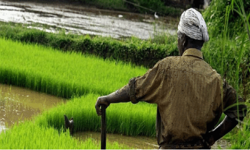കർഷകർക്ക് കണ്ണീർമഴ