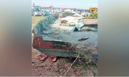 ഡെങ്കിപ്പനി  പടരുന്നു; 12 പേർക്ക് ​രോഗം