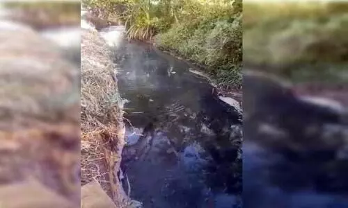 മ​ണി​നാ​ട​ൻ കോ​ൾ​പാ​ട​ത്ത്​ ജ​ല​സേ​ച​നം പ്ര​തി​സ​ന്ധി​യി​ലാ​ക്കി​യ ക​റു​​ത്ത വെ​ള്ളം