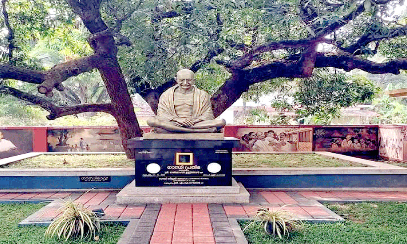 ഗാ​ന്ധി മാ​വ്