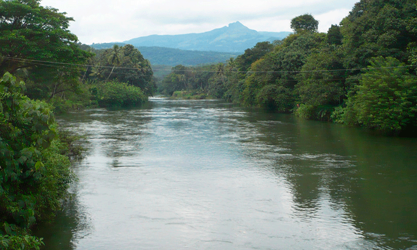 meenachil river