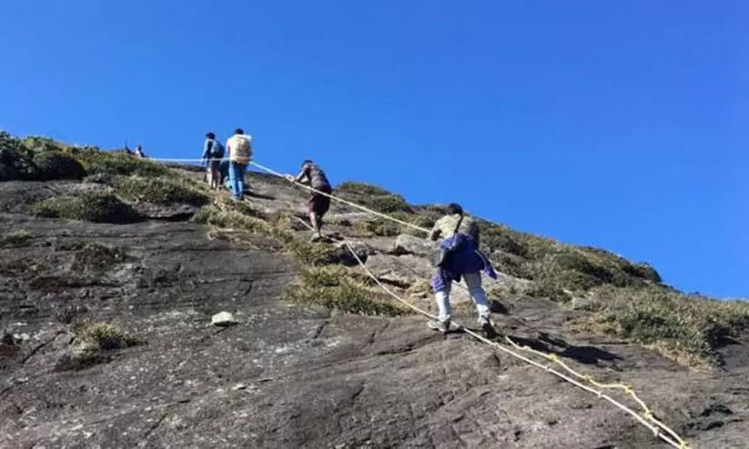 അഗസ്ത്യാർകൂടം സീസൺ ട്രക്കിങ്; ഓൺലൈൻ രജിസ്ട്രേഷൻ 13 ന് ആരംഭിക്കും അഗസ്ത്യാർകൂടം സീസൺ ട്രക്കിങ്; ഓൺലൈൻ രജിസ്ട്രേഷൻ 13 ന് ആരംഭിക്കും