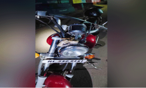 ബൈ​ക്കി​ൽ സ​ഹ​യാ​ത്രി​ക​നാ​യി പാ​മ്പ്!