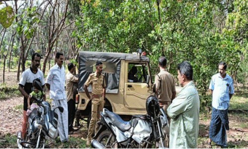 അയ്യൻകുന്ന് വിടാതെ പുലി; വനംവകുപ്പ് പരിശോധന ശക്തമാക്കി