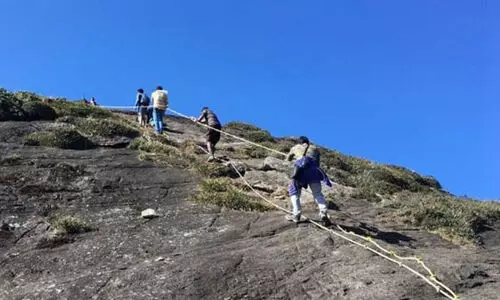 അഗസ്ത്യാർകൂടം സീസൺ ട്രക്കിങ്; ഓൺലൈൻ രജിസ്ട്രേഷൻ  13 ന് ആരംഭിക്കും