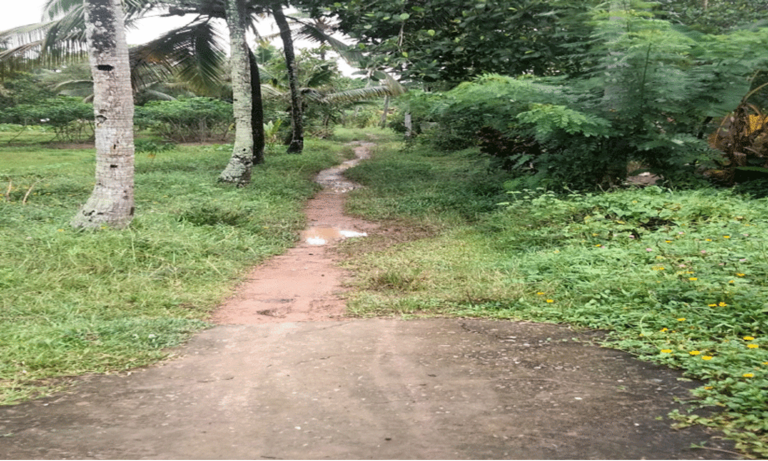 നിർമാണം പാതിവഴിയിൽ; ദുരിതമായി യാത്ര