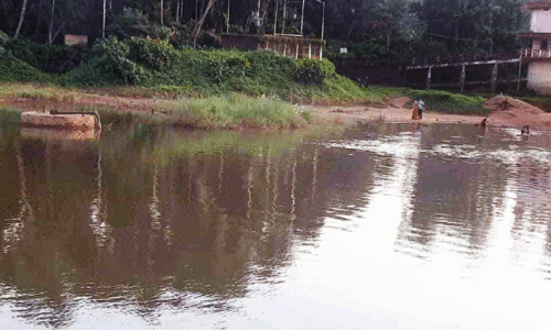 ആ​ലി​പ്പ​റ​മ്പ് കാ​ളി​ക്കട​വ്