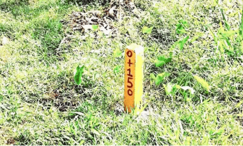 bypass construction bypass construction