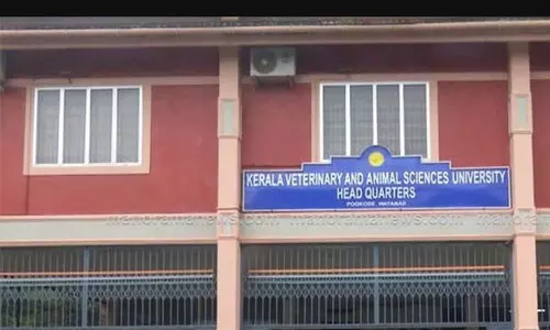 വെറ്ററിനറി സർവകലാശാല : വി.സി യുടെ കാലാവധി തീരും മുൻപ് തിരക്കിട്ട് 156 അധ്യാപക നിയമനങ്ങൾ