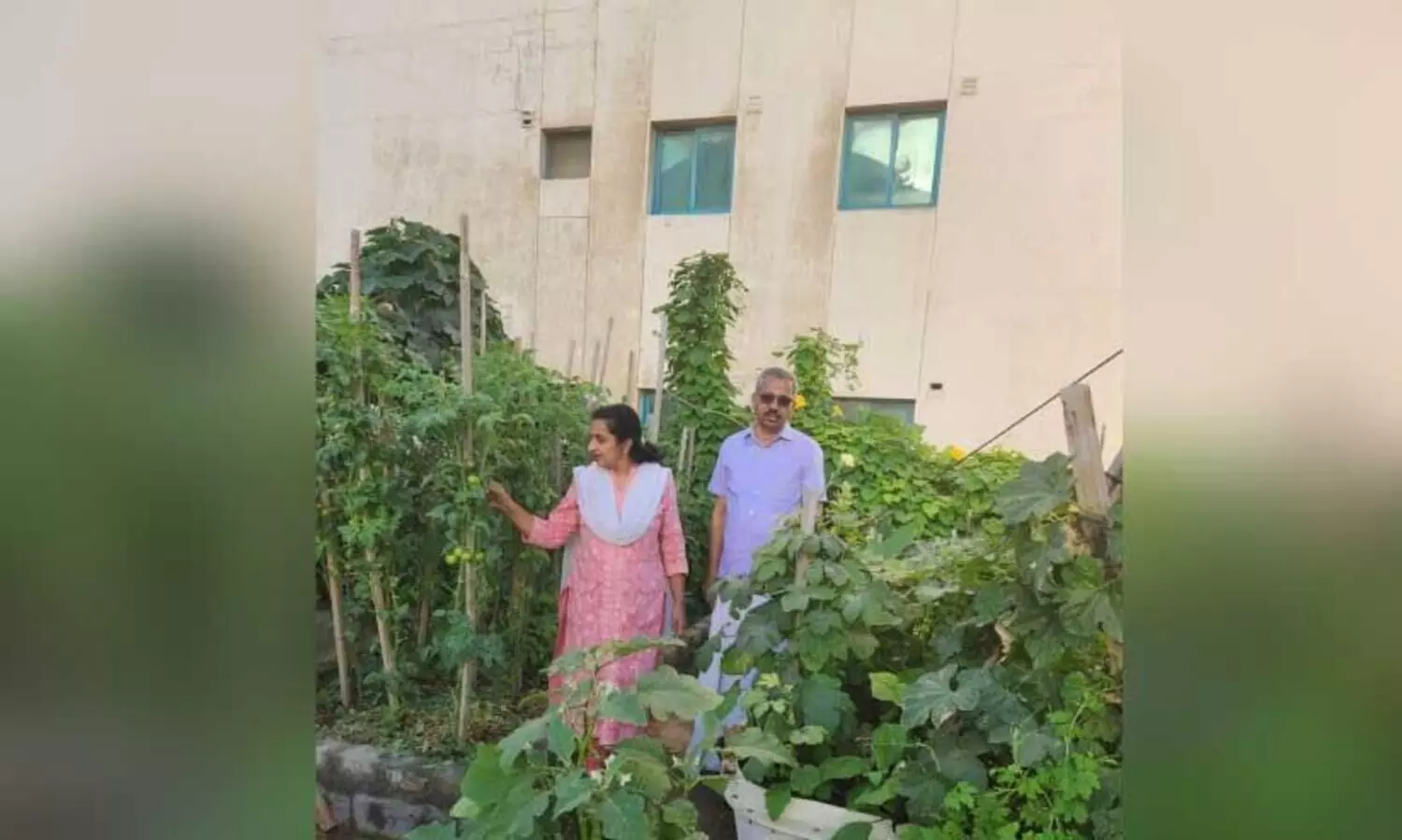vegetable farmimg on terrace