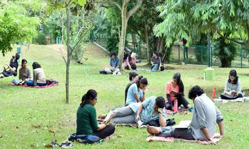 Napier Museum Park, Museum Park, reading